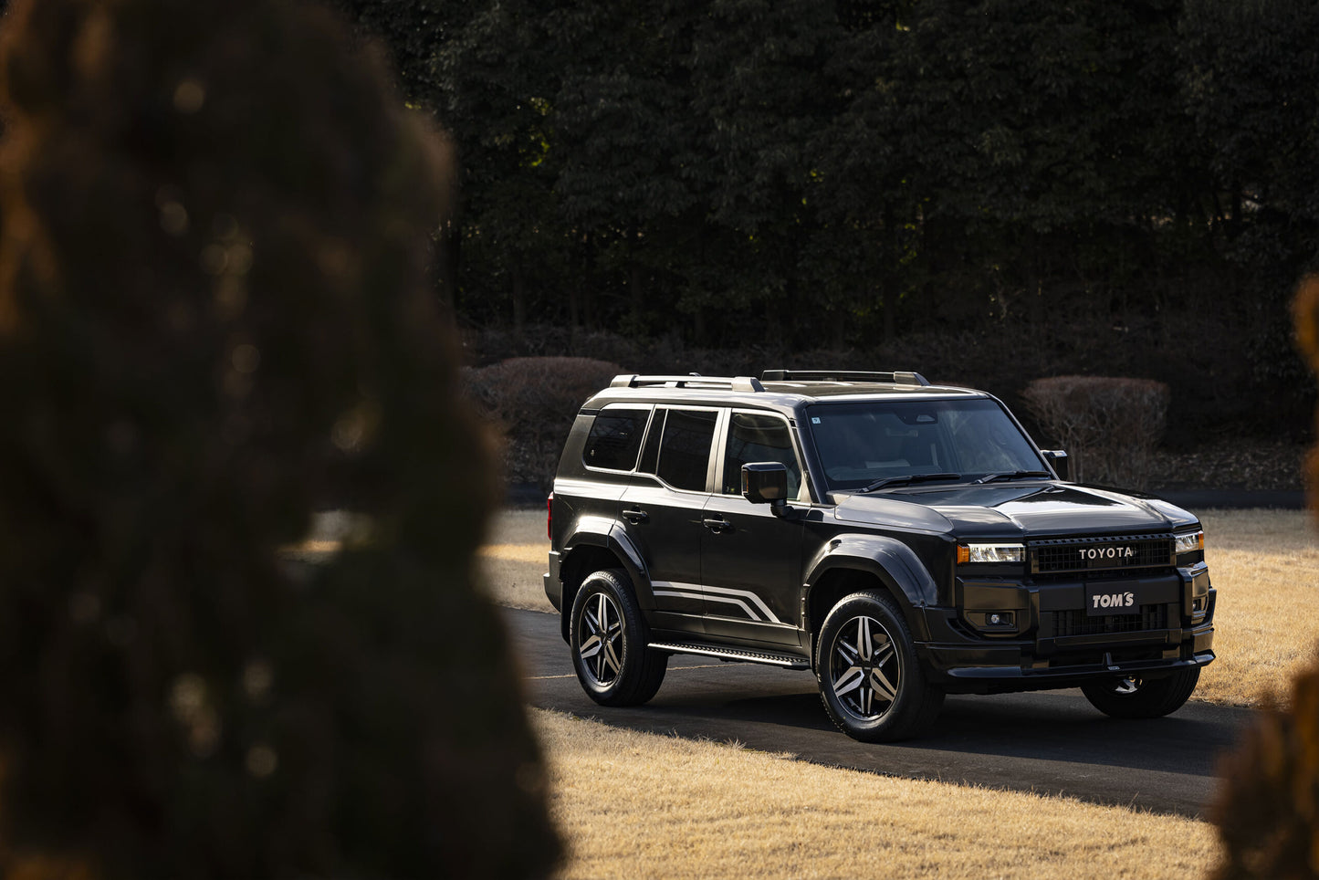 Toms Land Cruiser Prado Styling Set
